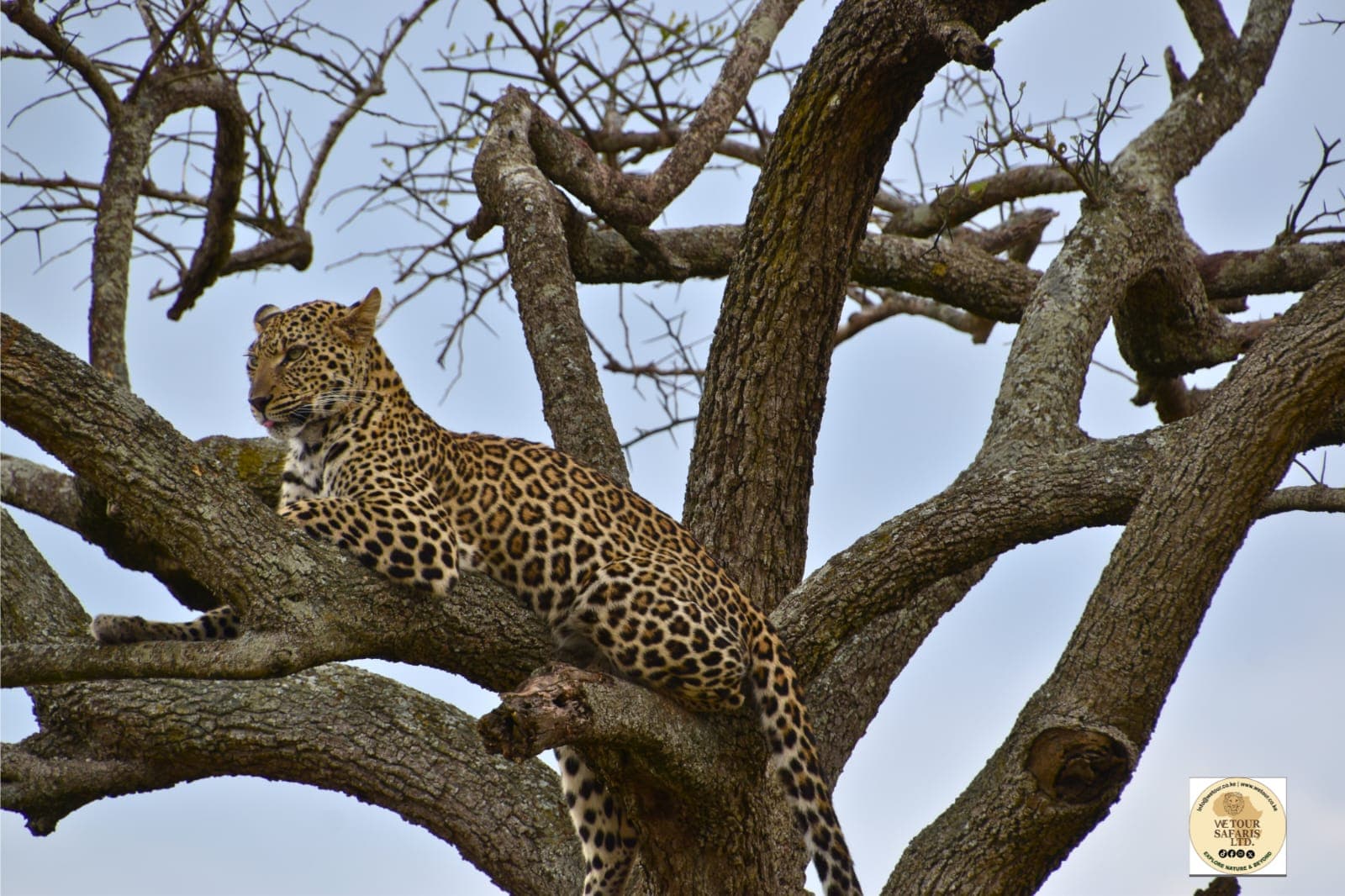 5-Day From Northern Plains to Central Wildlife